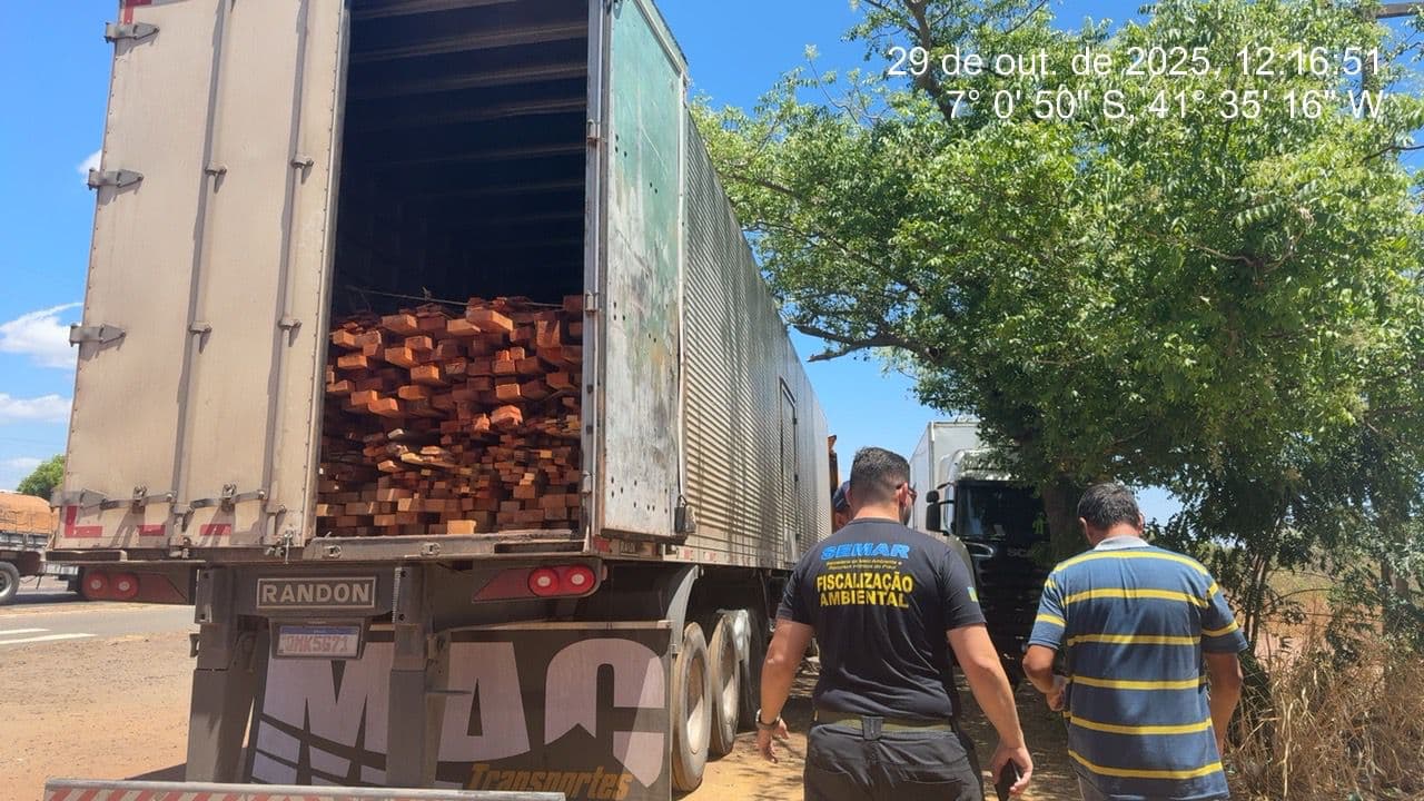 Semarh e PRF realizam a maior apreensão de madeira ilegal do ano no Piauí