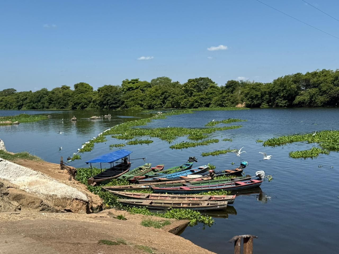 Semarh promove fiscalização educativa sobre início da piracema.