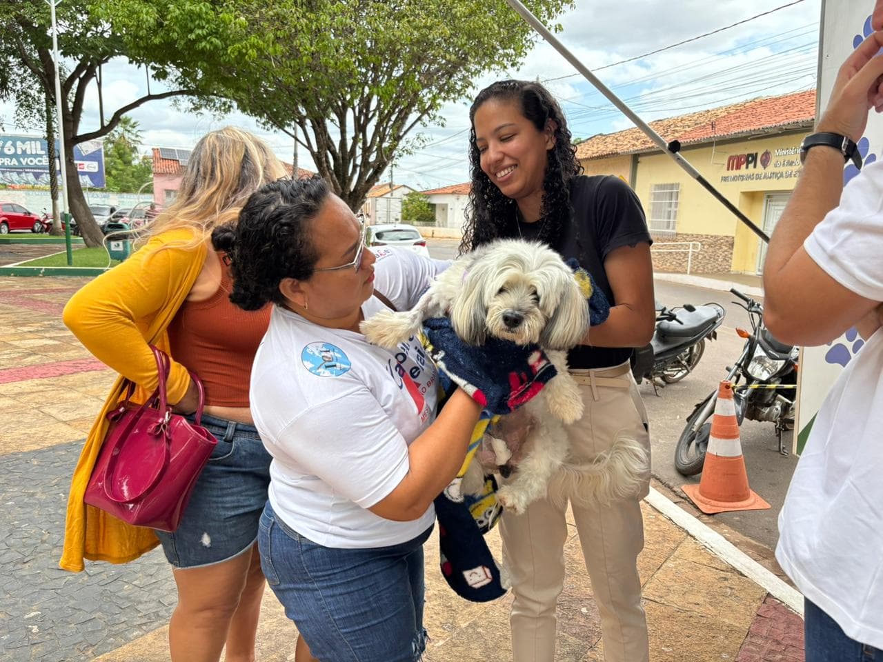 Semarh ultrapassa a marca de 500 castrações realizadas no Castramóvel durante ação em Esperantina