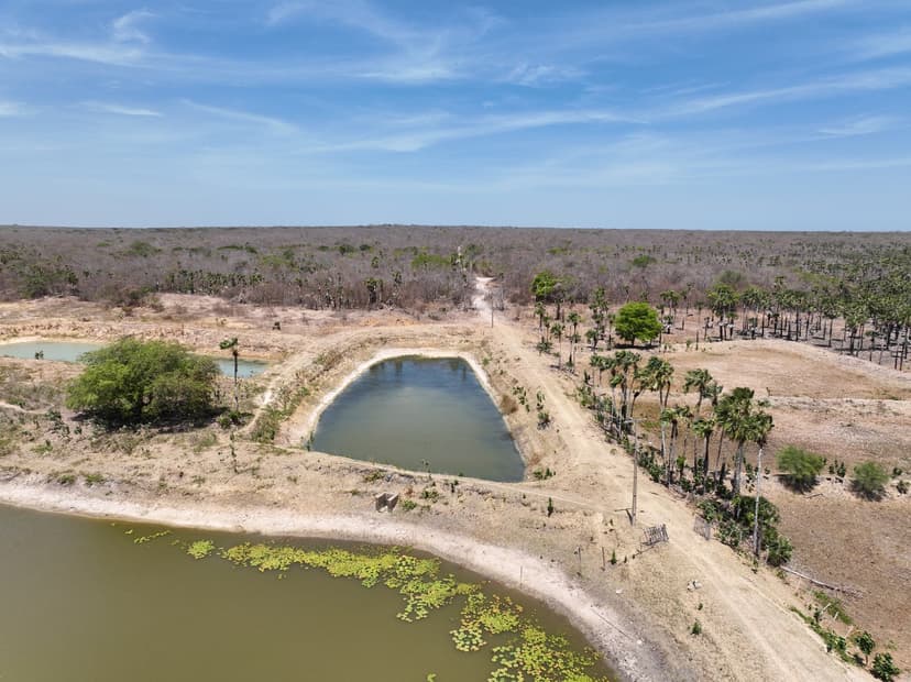 fiscalizacao-da-semarh-reforca-monitoramento-e-protecao-da-lagoa-do-portinho