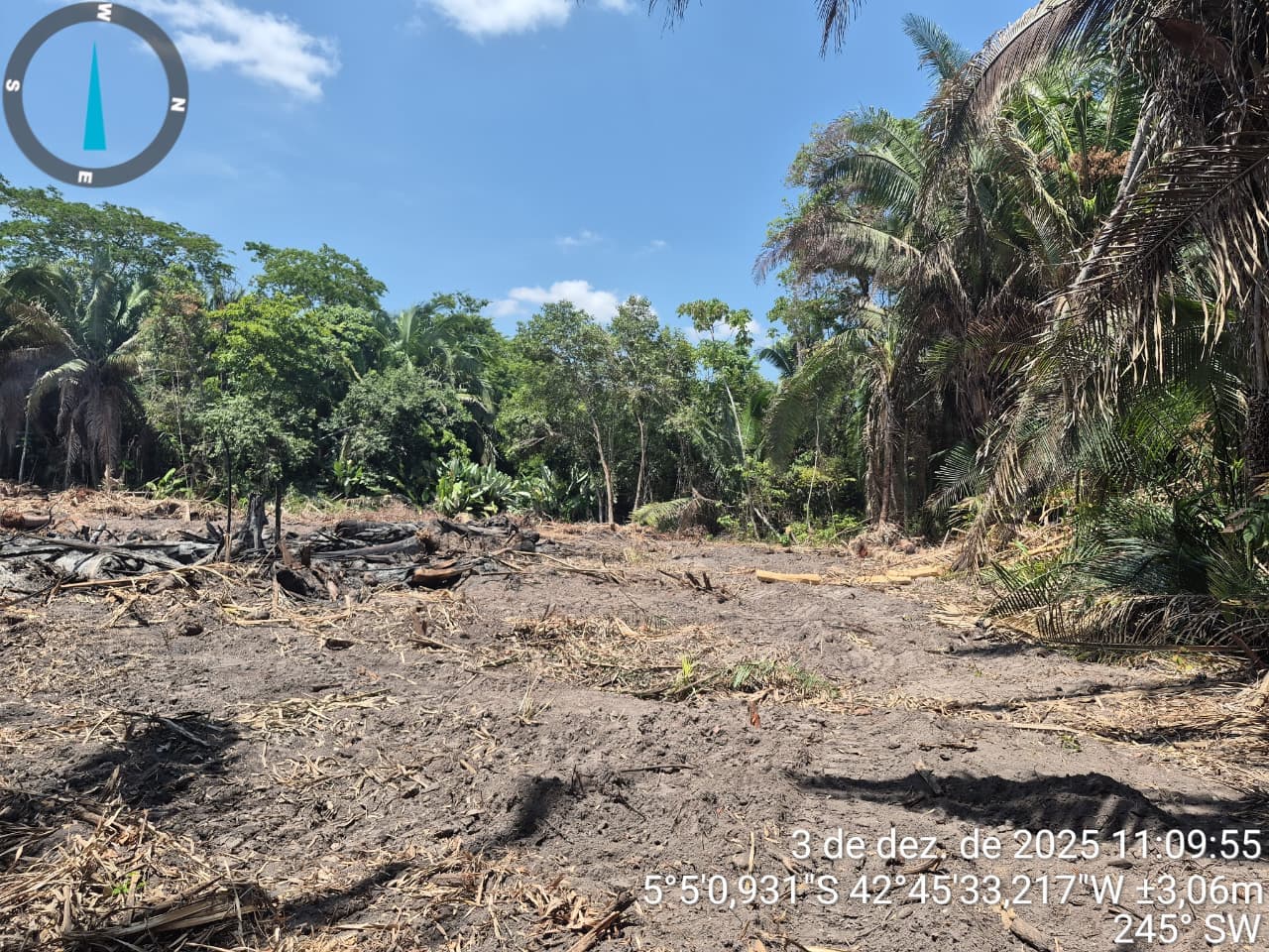 Desmatamento no Recanto das Palmeiras: ação rápida da Semarh confirma irregularidades às margens do riacho Itararé