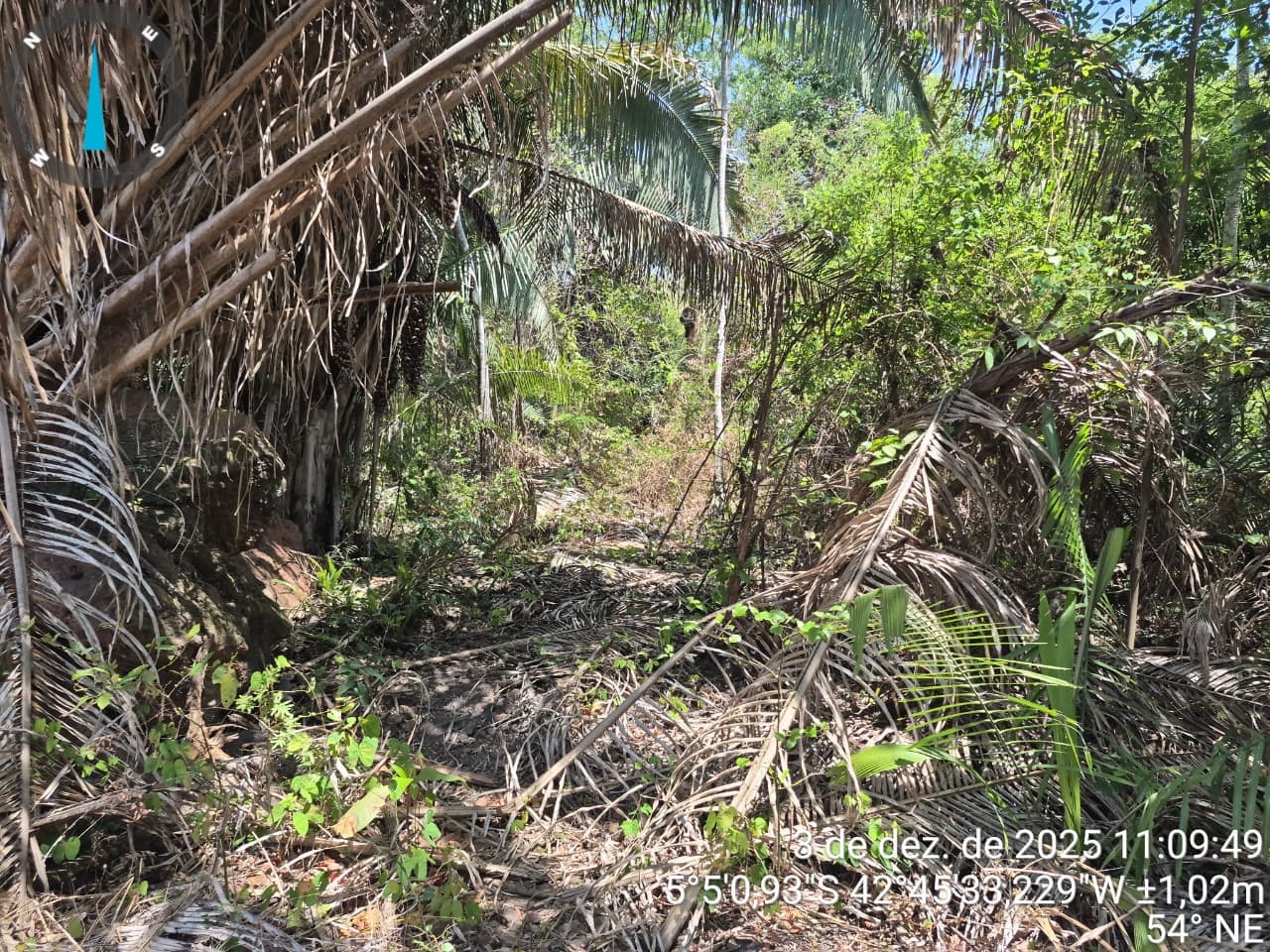 Desmatamento no Recanto das Palmeiras: ação rápida da Semarh confirma irregularidades às margens do riacho Itararé.