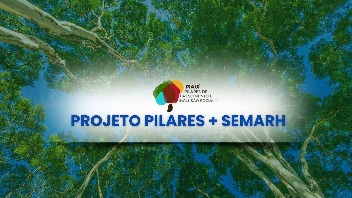 Governo lança edital de para contratação de consultores especializados em Prevenção e Combate a Incêndios Florestais