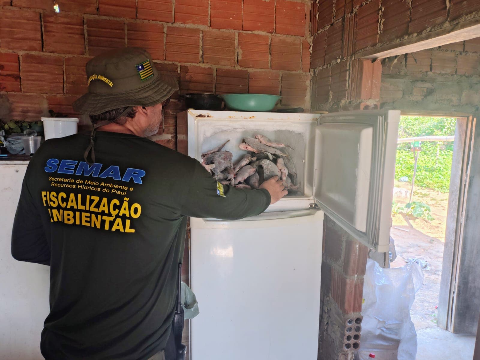 Fiscalização da Semarh flagra pescador em atividade e apreende 66 quilos de peixe durante piracema no Piauí