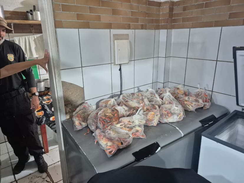 fiscalizacao-flagra-comercializacao-irregular-de-caranguejo-uca-no-litoral-do-piaui-durante-periodo-de-defeso