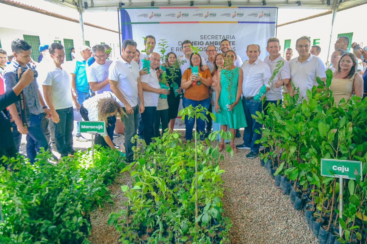 Proverde avança no interior e distribui mais 12 mil mudas frutíferas e nativas em três cidades do Piauí