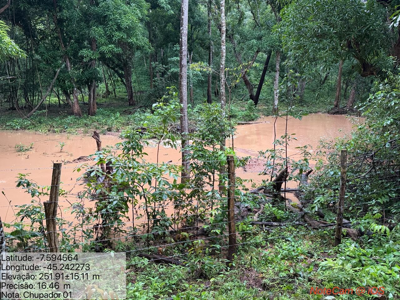 Semana da Água: Semarh recupera cinco nascentes em Ribeiro Gonçalves e reforça segurança hídrica no Cerrado