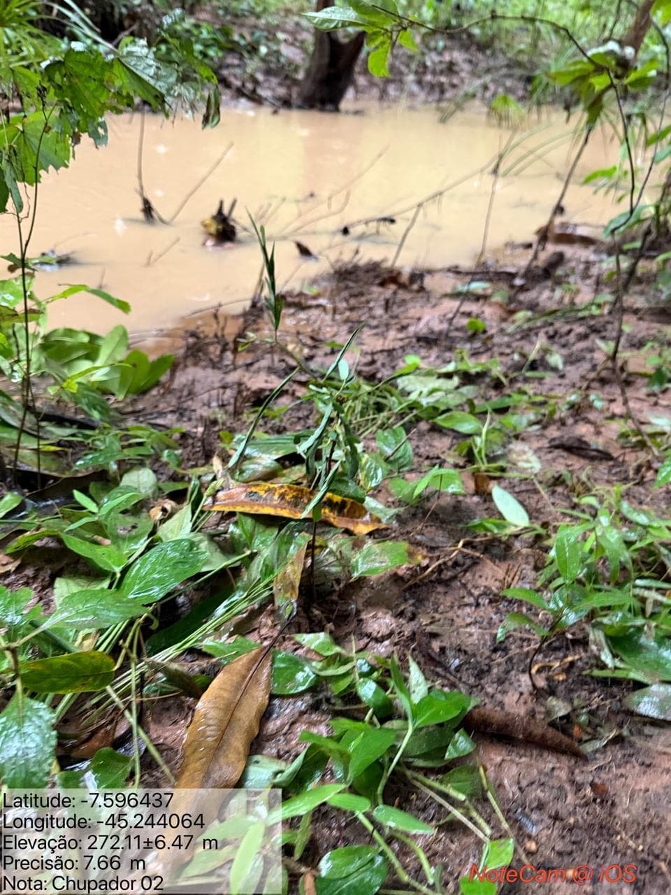 Semana da Água: Semarh recupera cinco nascentes em Ribeiro Gonçalves e reforça segurança hídrica no Cerrado