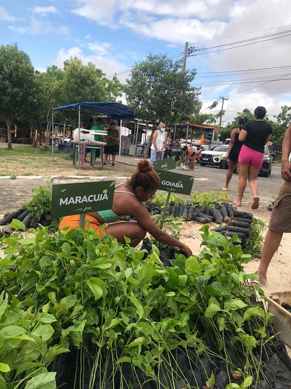 Zona leste de Teresina recebe nova ação do projeto Proverde nos Bairros da Semarh