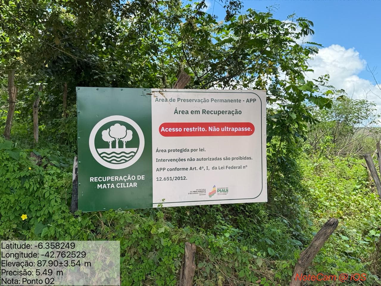 Recuperação de matas ciliares avança no Mimbó com apoio da Semarh