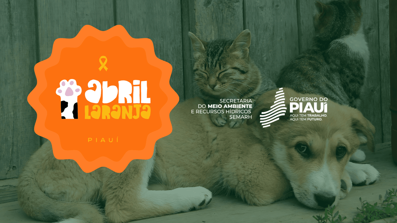 Abril Laranja mobiliza o Piauí com ações de proteção e bem-estar animal