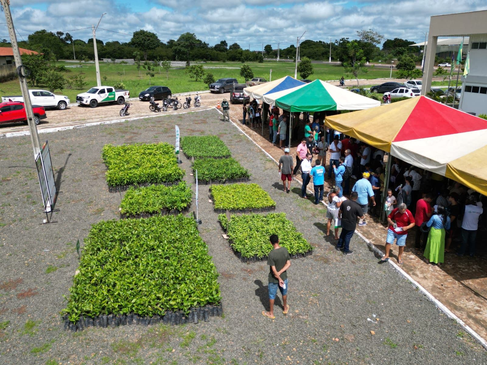 PRO Verde Piauí