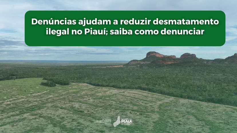 denuncias-ajudam-a-reduzir-desmatamento-ilegal-no-piaui-saiba-como-denunciar