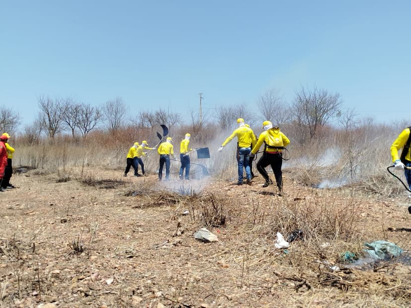 piaui-alcanca-marca-inedita-metade-dos-municipios-ja-contam-com-brigadas-florestais-treinadas
