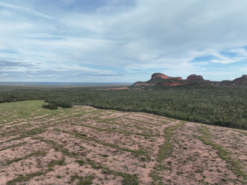 desmatamento-ilegal-cai-quase-68-no-piaui-e-estado-registra-melhor-resultado-em-quatro-anos