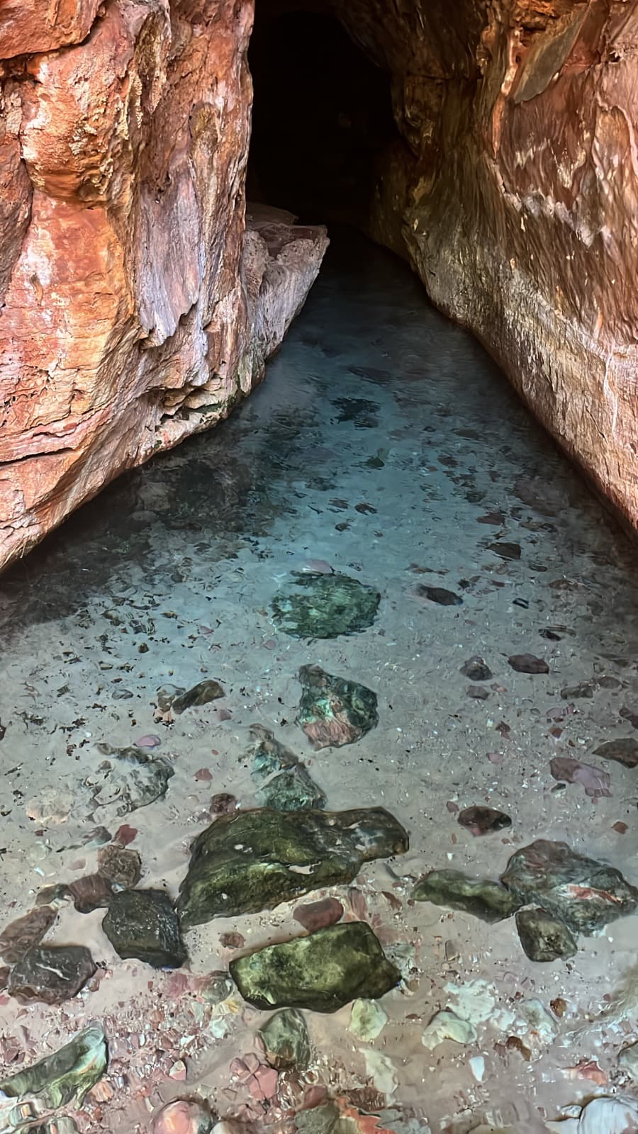 Piauí avança na gestão ambiental com aprovação de quatro novos Planos de Manejo