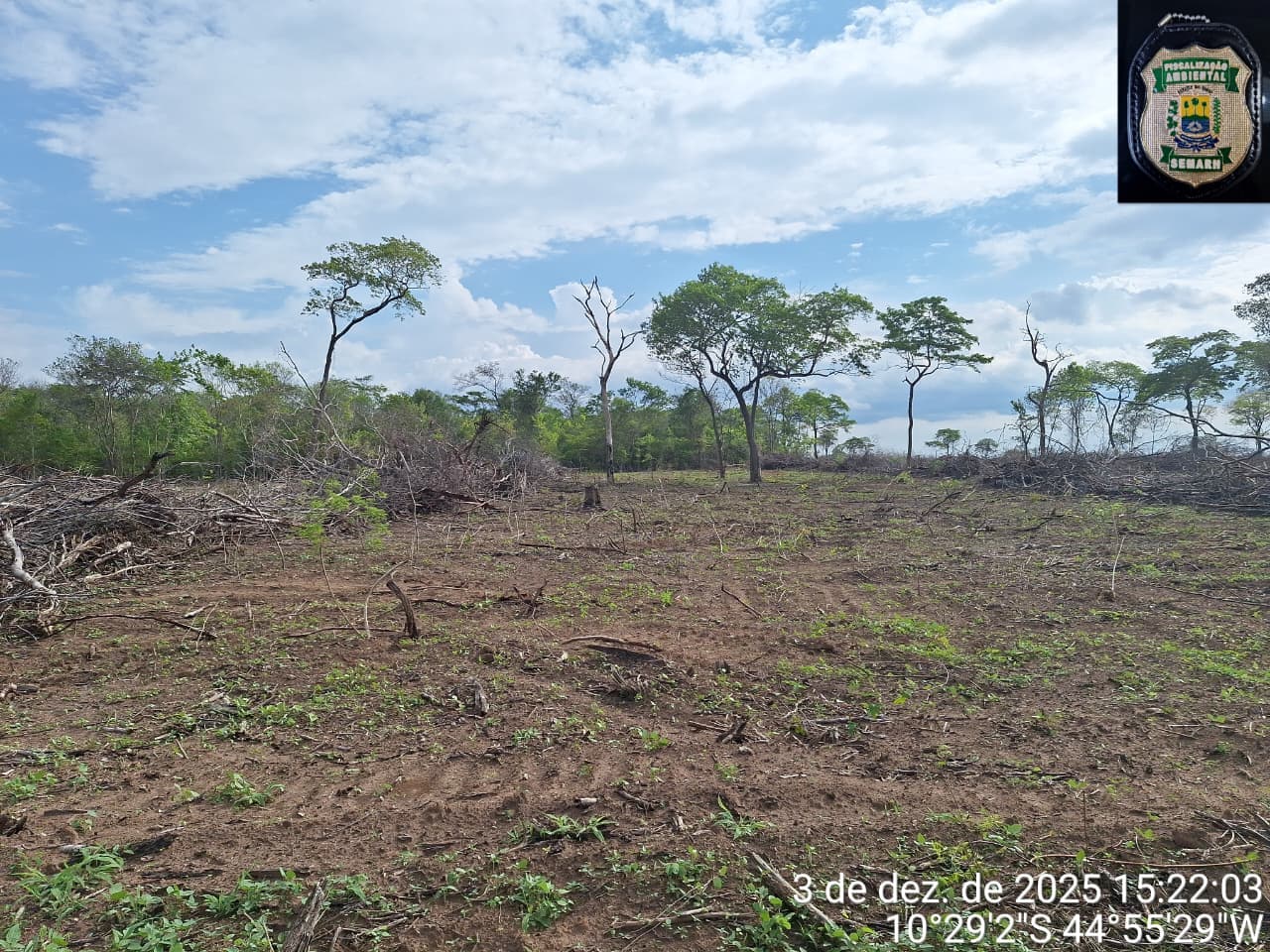 Fiscalização contra o desmatamento cresce no Piauí e Semarh registra avanço em 2025