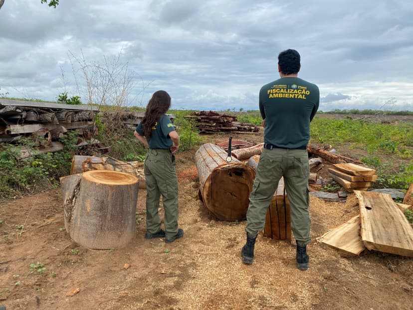 fiscalizacao-contra-o-desmatamento-cresce-no-piaui-e-semarh-registra-avanco-em-2025