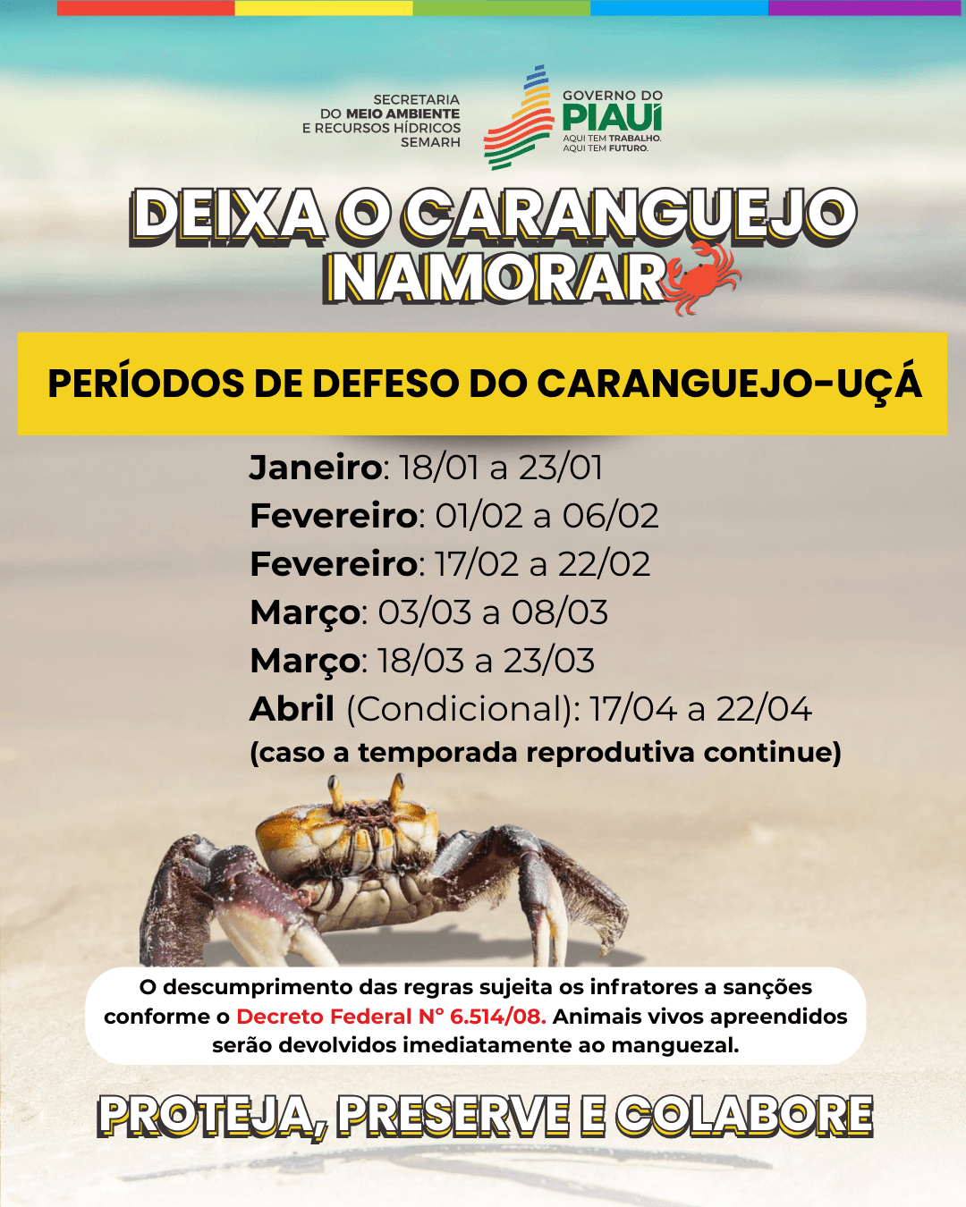 Confira as datas do período de defeso do caranguejo-uçá.