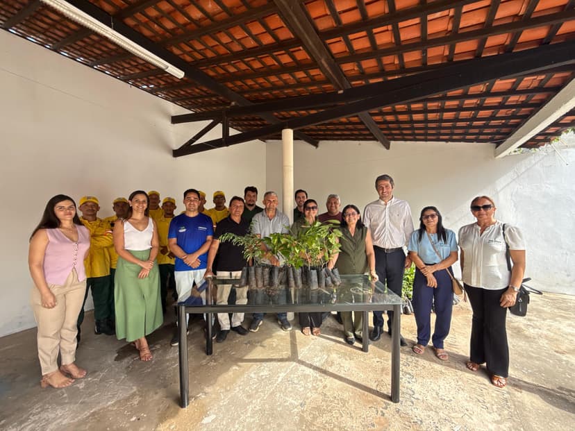 semarh-inicia-2026-com-forca-total-na-distribuicao-de-mudas-aos-municipios