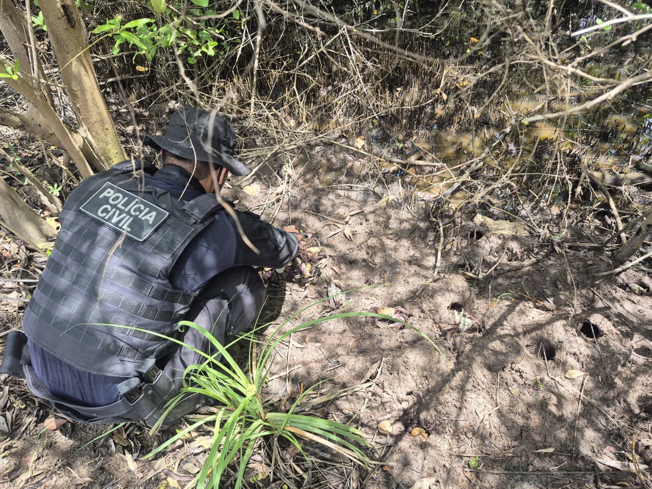 Semarh aprende quase 900 caranguejos-uçá durante operação no litoral do Piauí