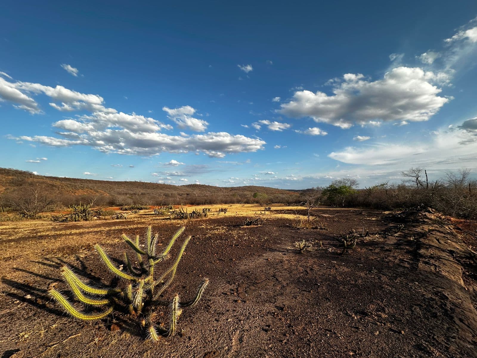 Boletim confirma avanço da seca no Piauí e Semarh lança ferramenta para acompanhar situação dos municípios