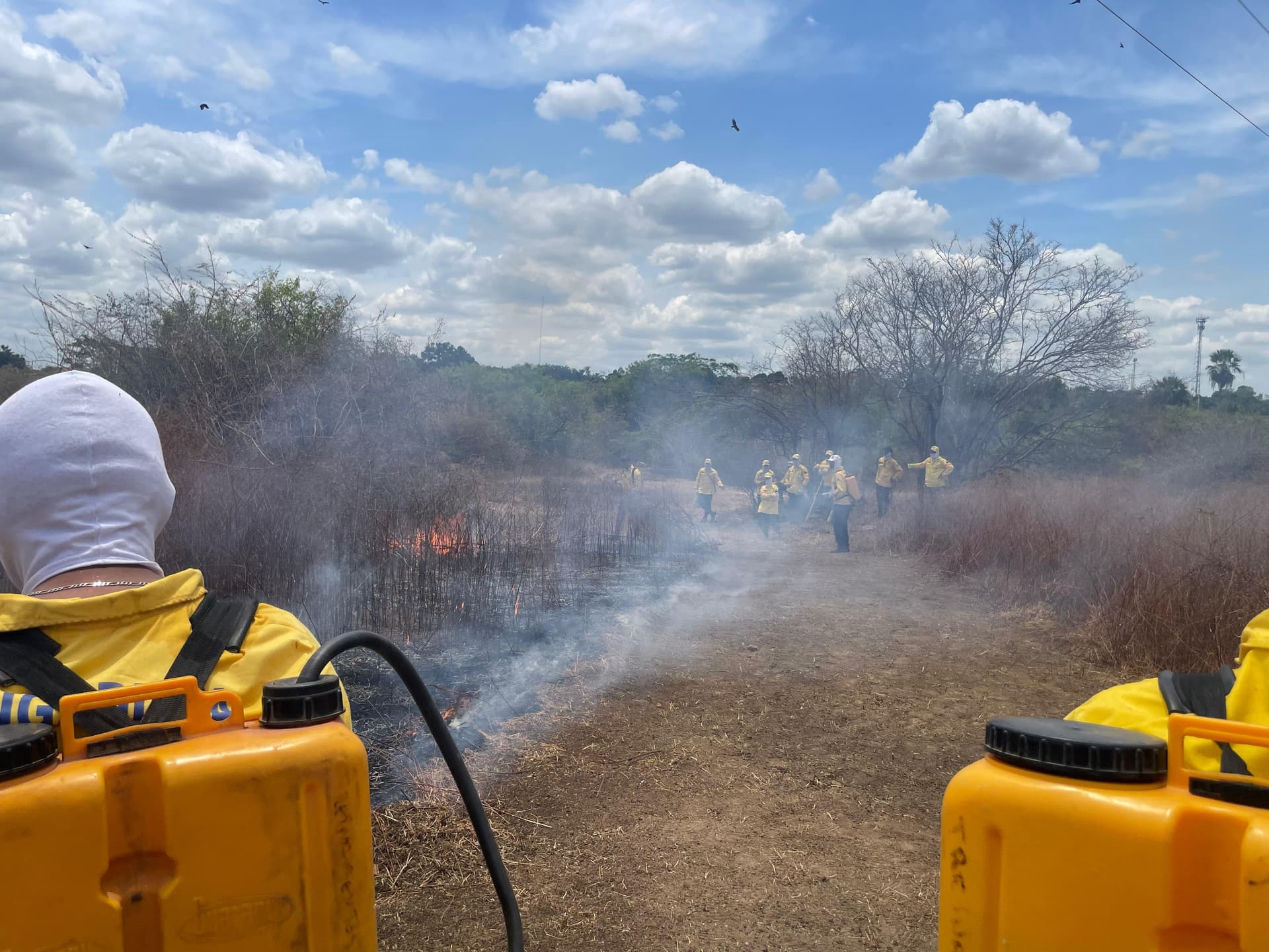 Piauí registra queda de 11% nos incêndios após primeira quinzena da portaria que proíbe queimadas