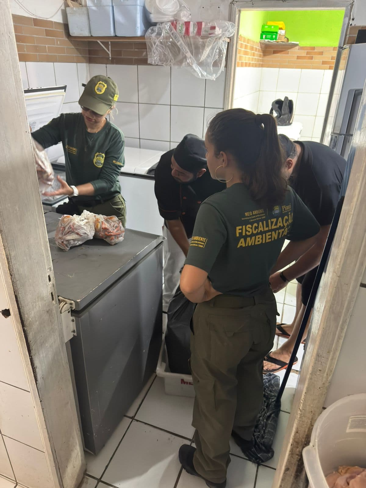 scalização flagra comercialização irregular de caranguejo-uçá no litoral do Piauí durante período de defeso