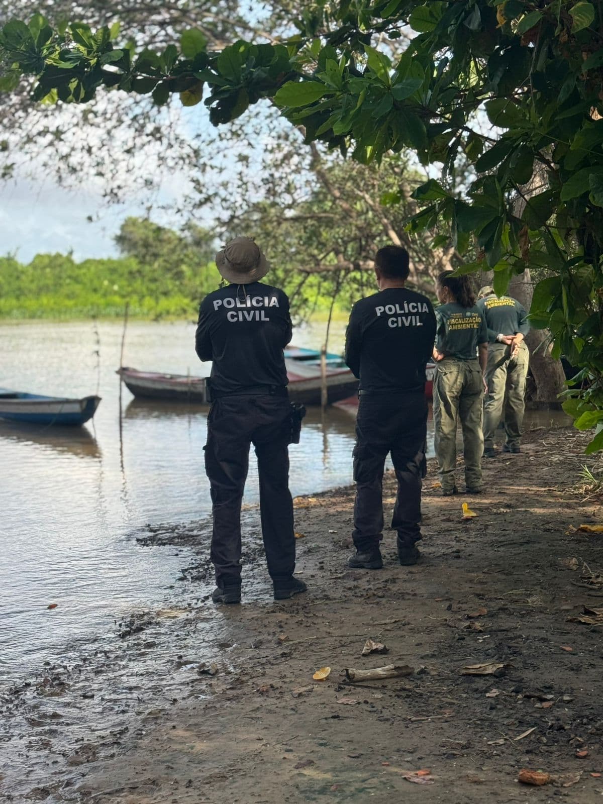 scalização flagra comercialização irregular de caranguejo-uçá no litoral do Piauí durante período de defeso