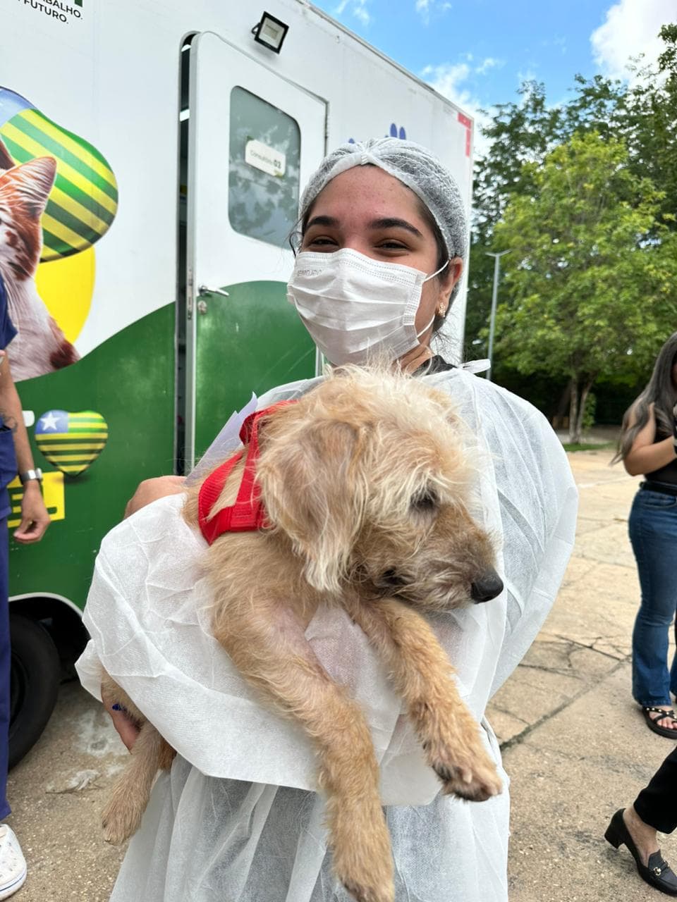 Semarh avança na proteção animal e publica edital para garantir acolhimento a cães e gatos vítimas de maus-tratos