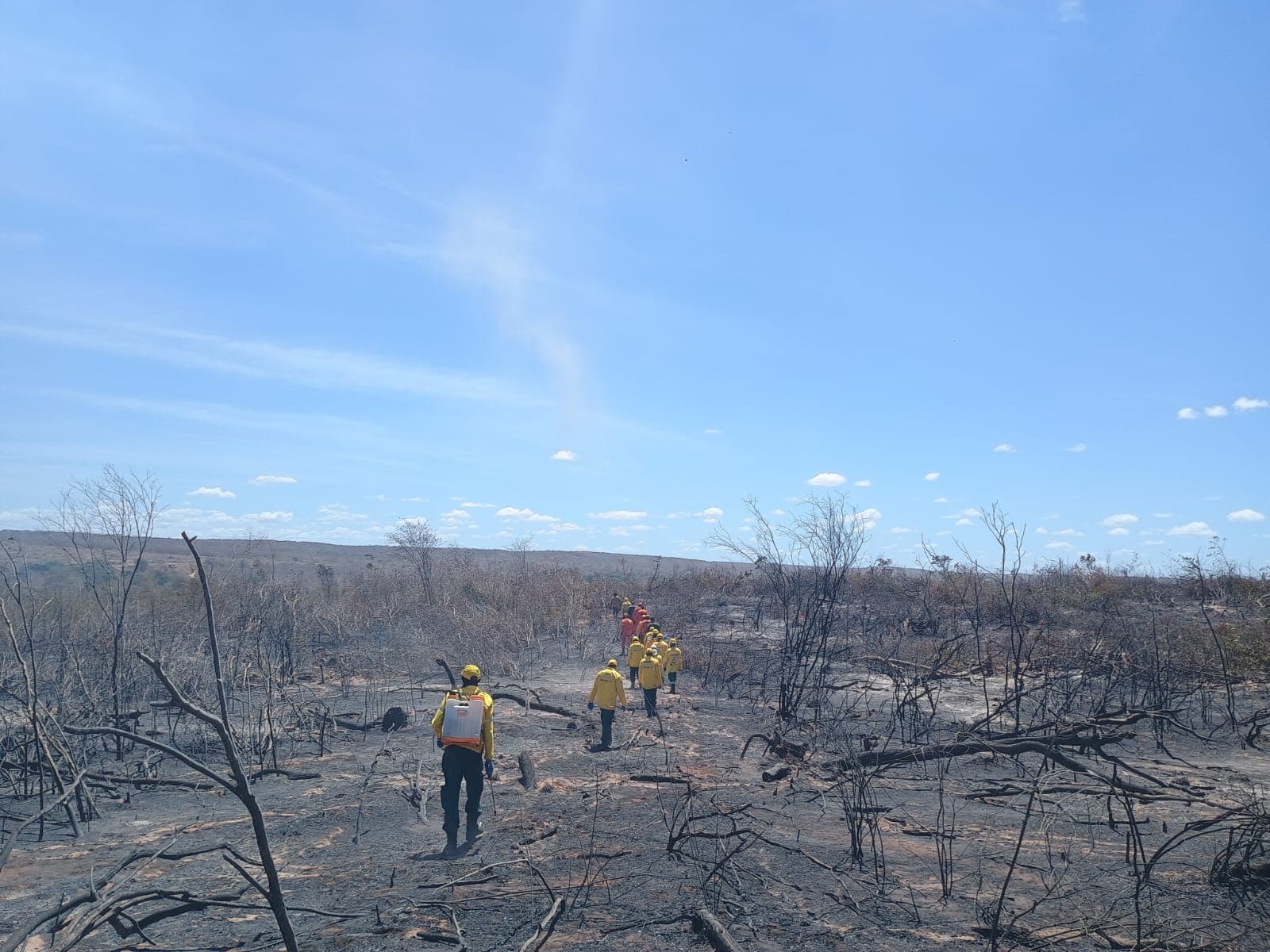 Parte da área atingida pelo incêndio
