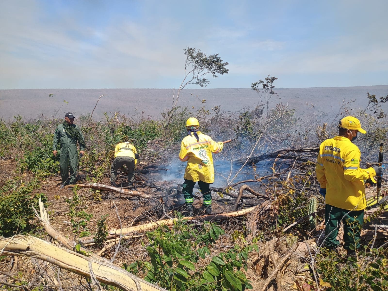 Brigadistas florestais em atuação