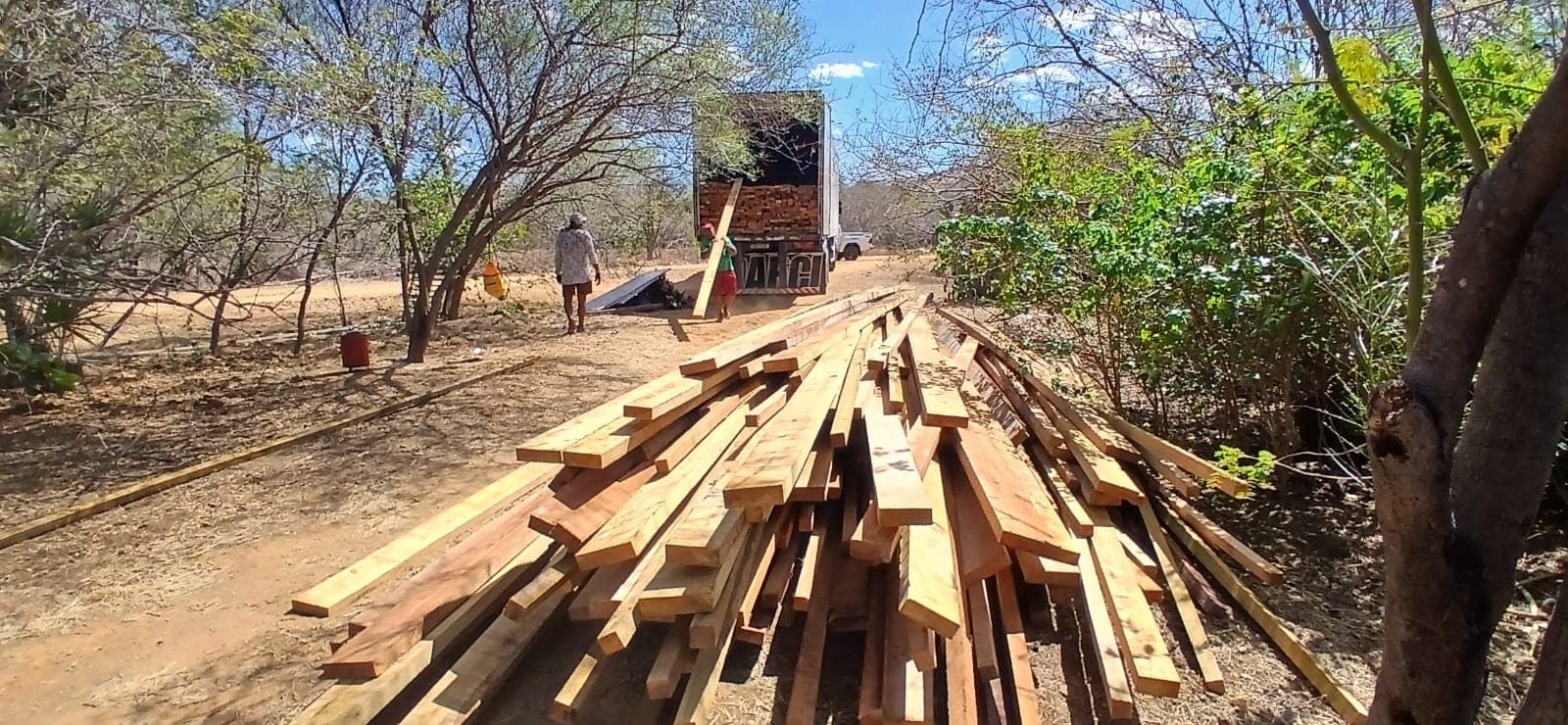 Semarh já apreendeu 213 m³ de madeira ilegal em 2025, aumento de 86% em relação ao ano passado