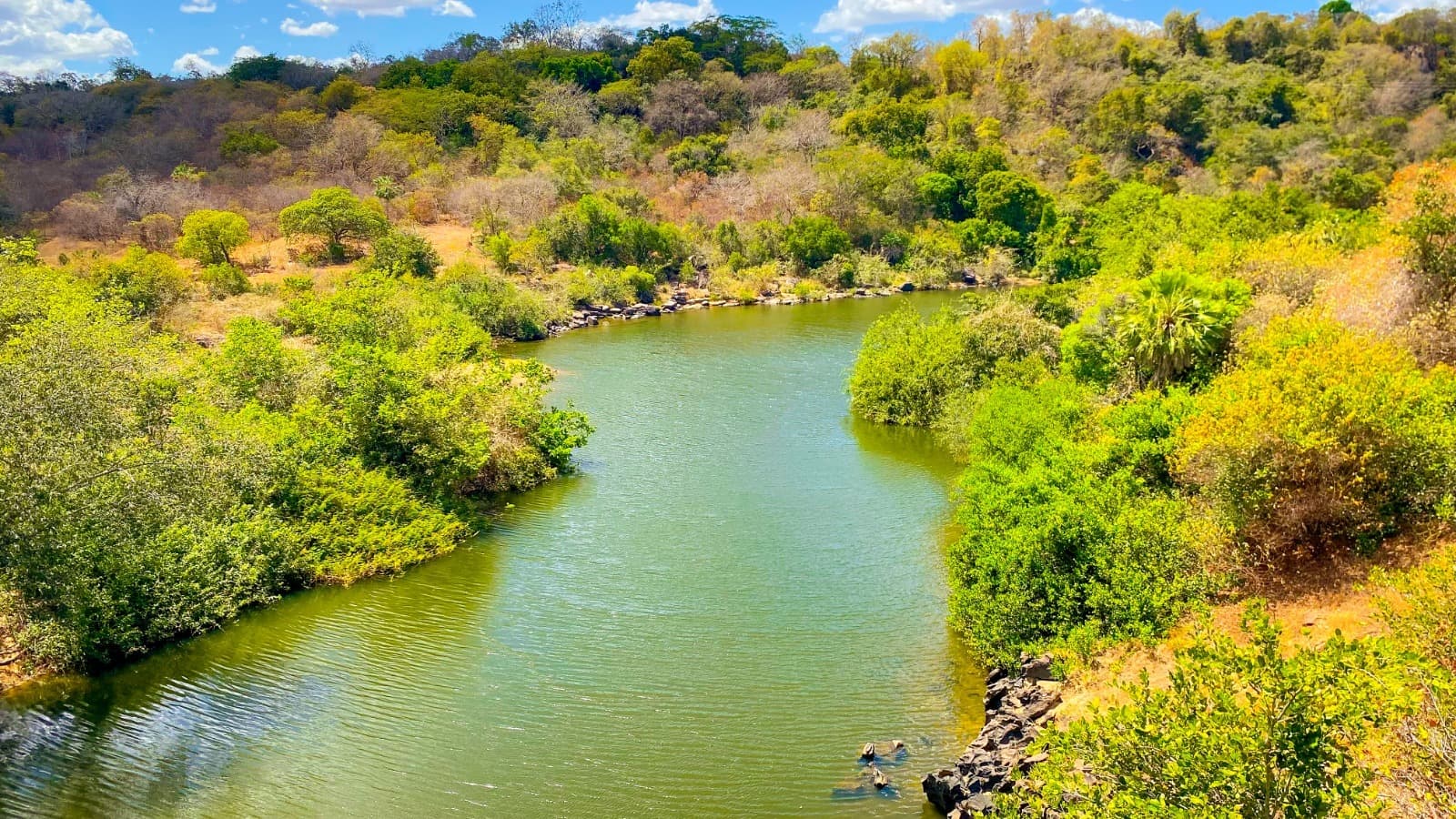 Semarh intensifica fiscalização no Cerrado piauiense