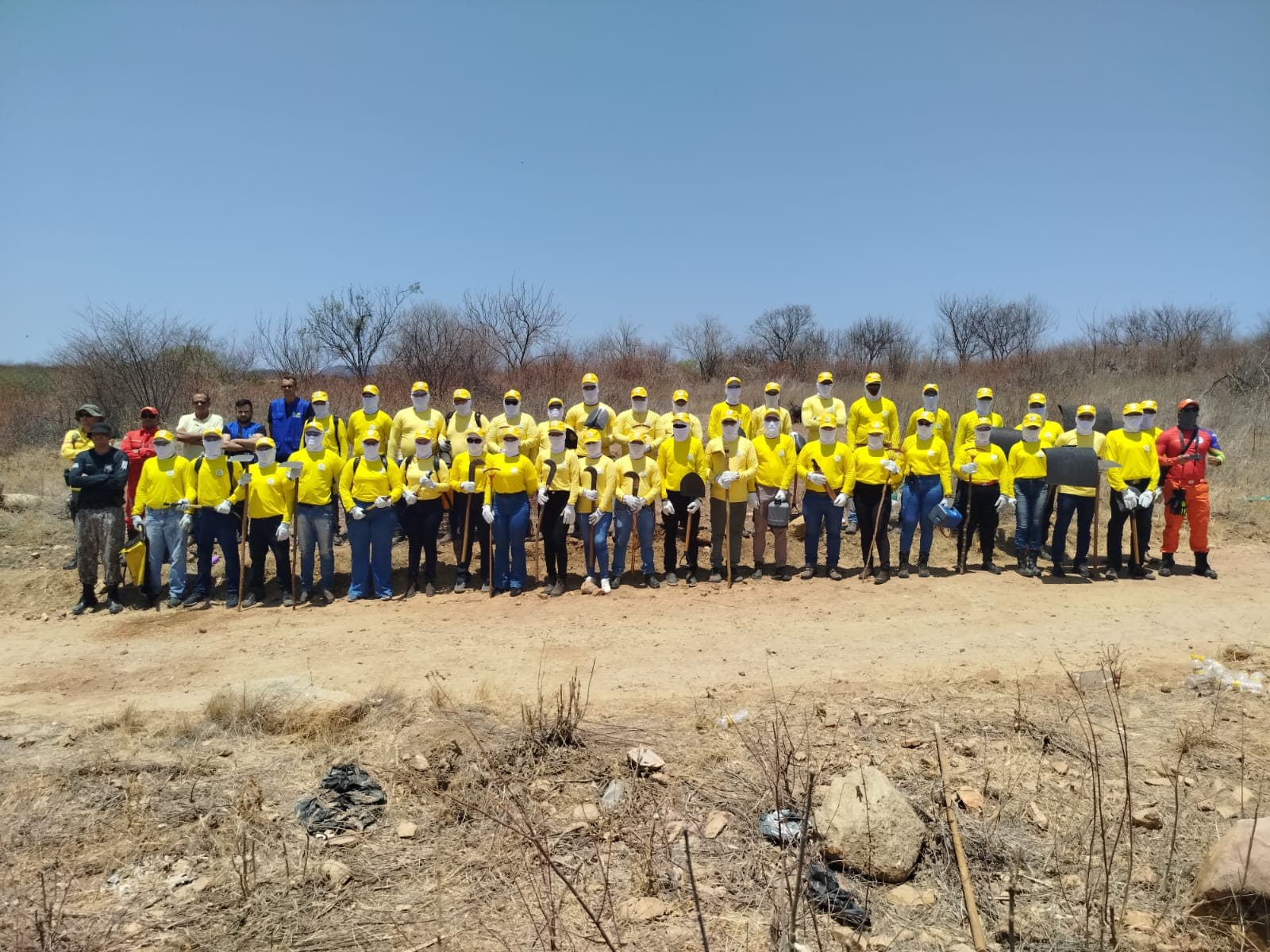 Piauí alcança marca inédita: metade dos municípios já contam com brigadas florestais treinadas
