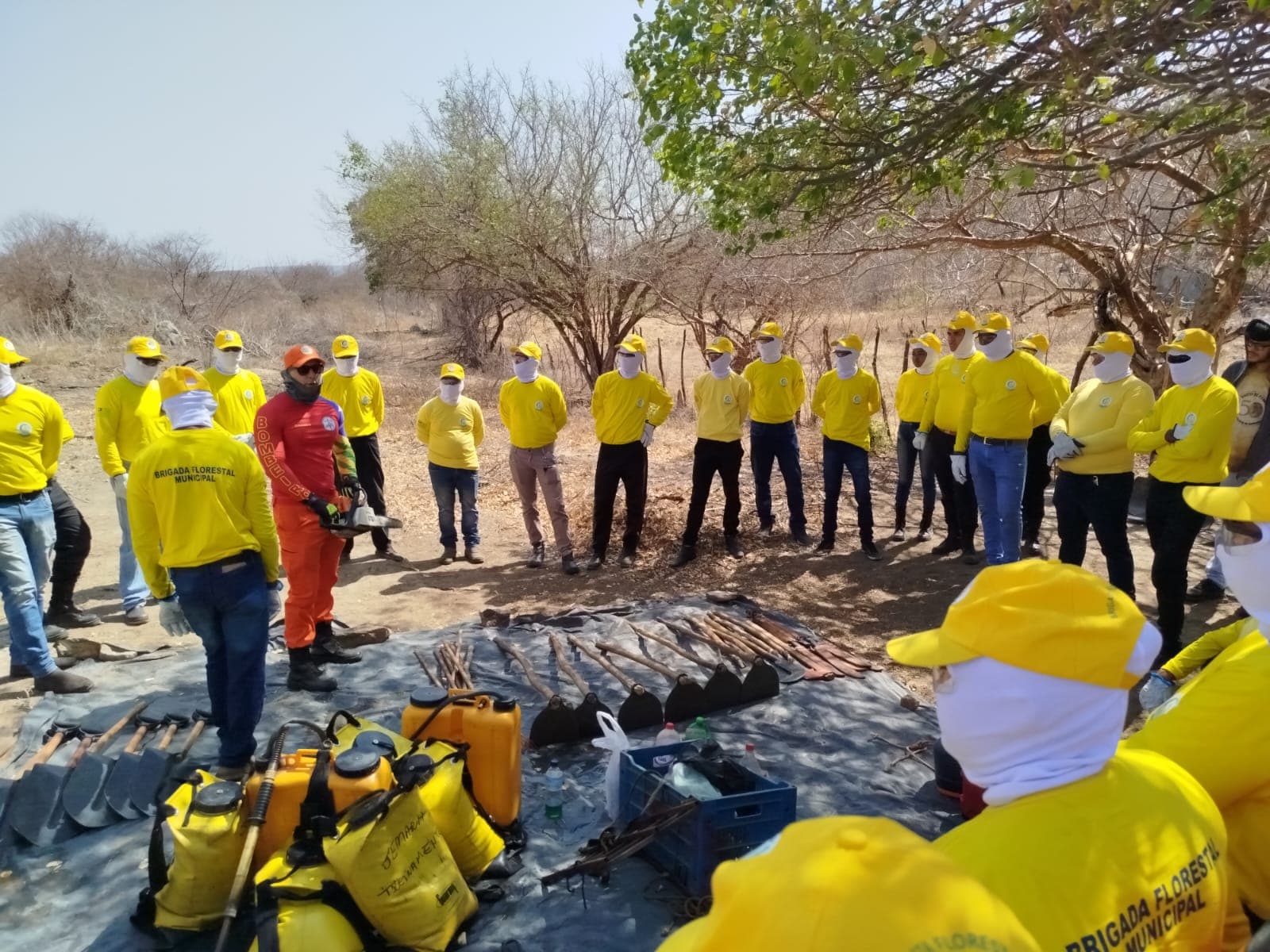 Piauí alcança marca inédita: metade dos municípios já contam com brigadas florestais treinadas