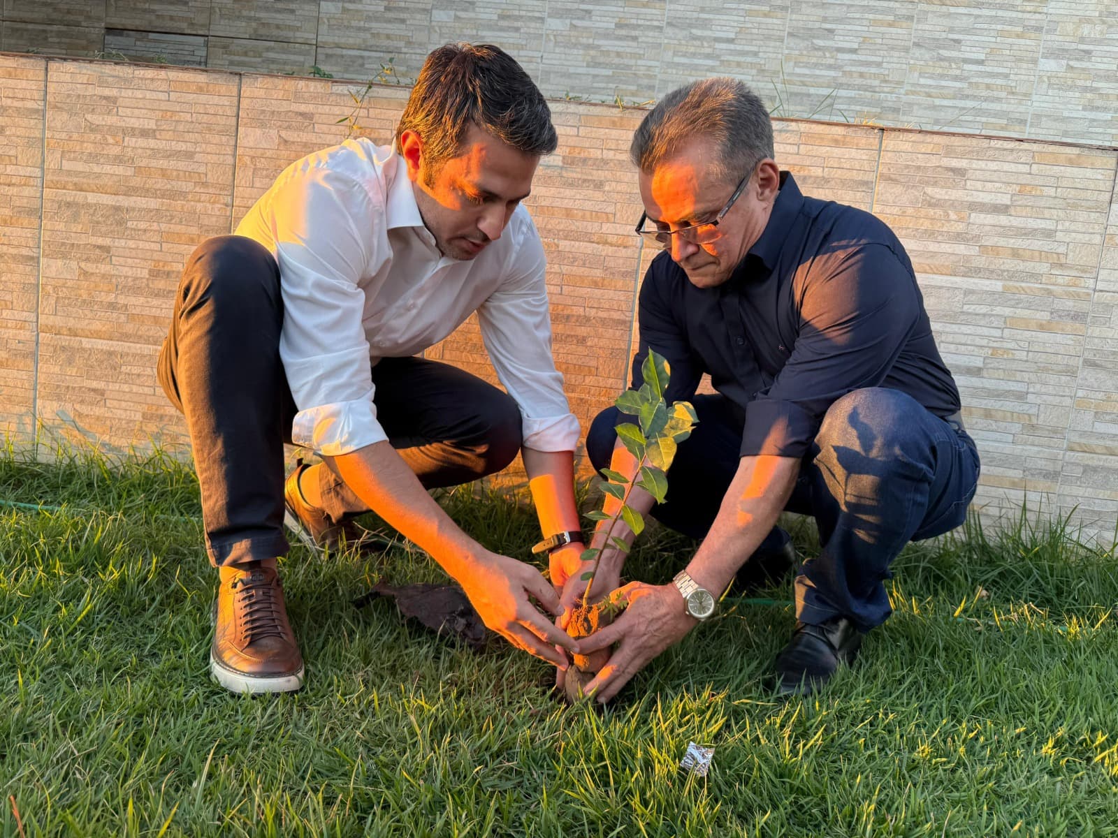 Piauí: onde cada árvore plantada aponta para o futuro