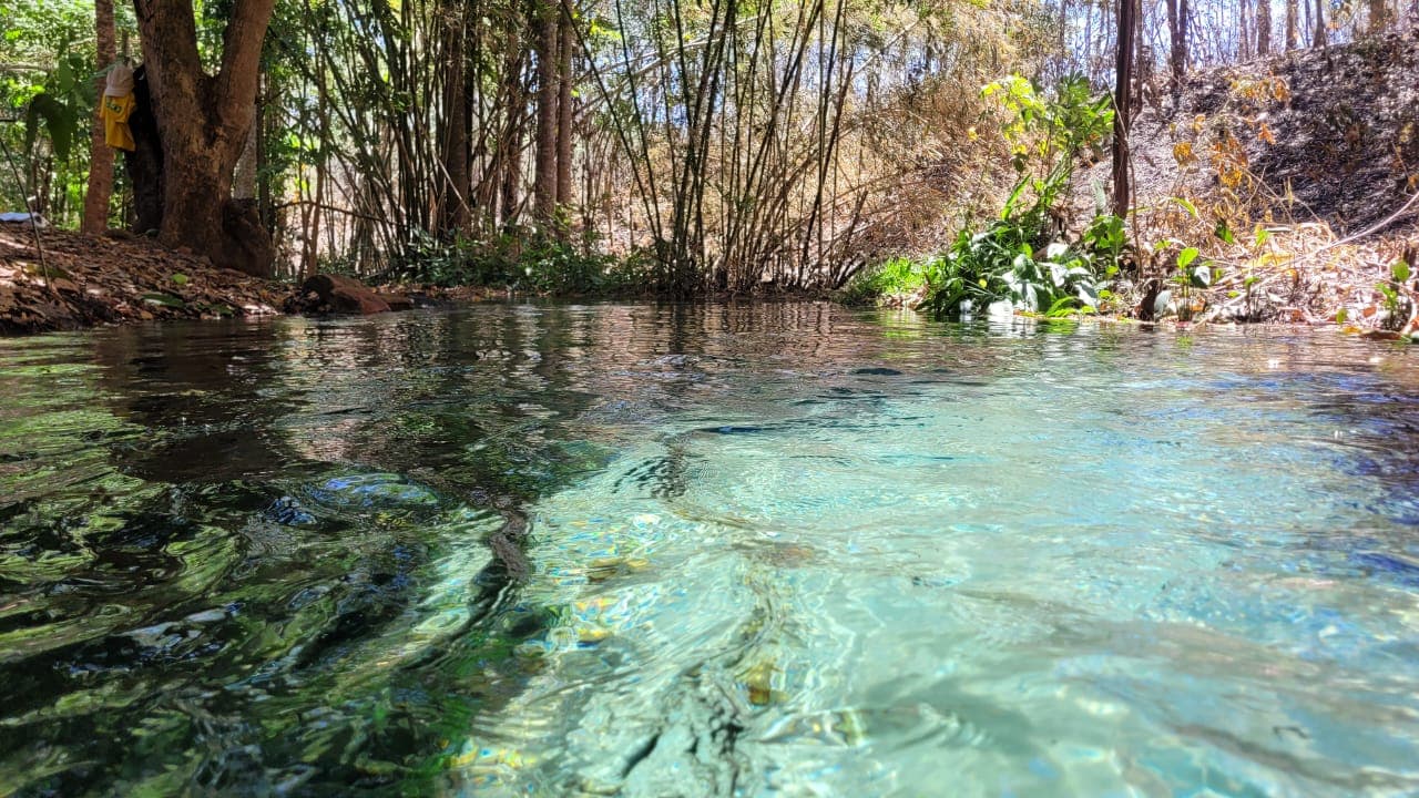 Dia Mundial dos Rios: Piauí reforça preservação de nascentes e repovoamento de peixes nativos