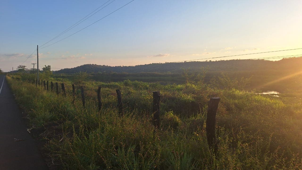 Semarh realiza vistoria na PI-112 após série de atropelamentos de animais silvestres e reforça fiscalização no trecho