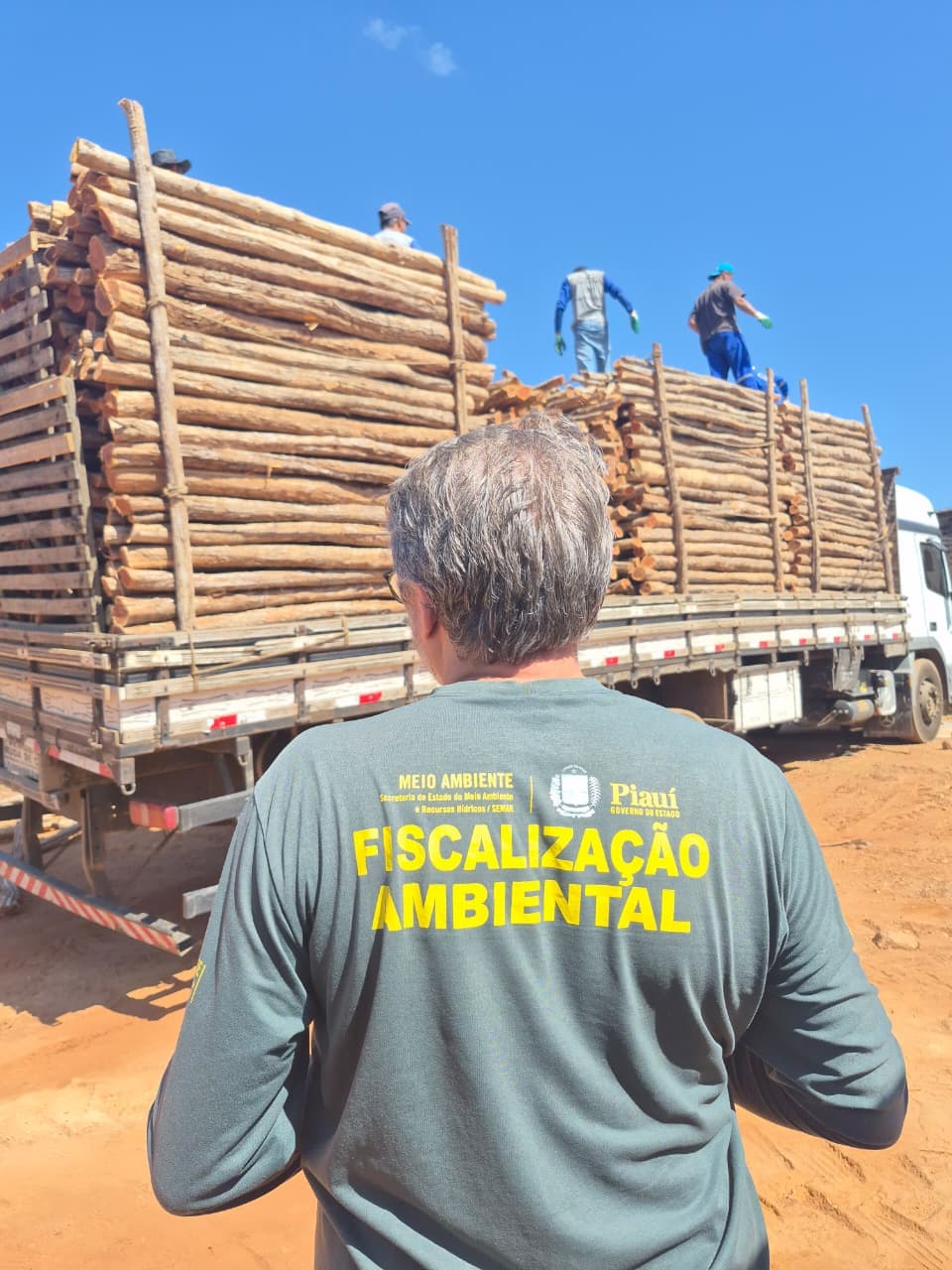 Durante a operação, os auditores ambientais conferiram a documentação florestal (DOF), identificaram divergências entre os dados declarados.