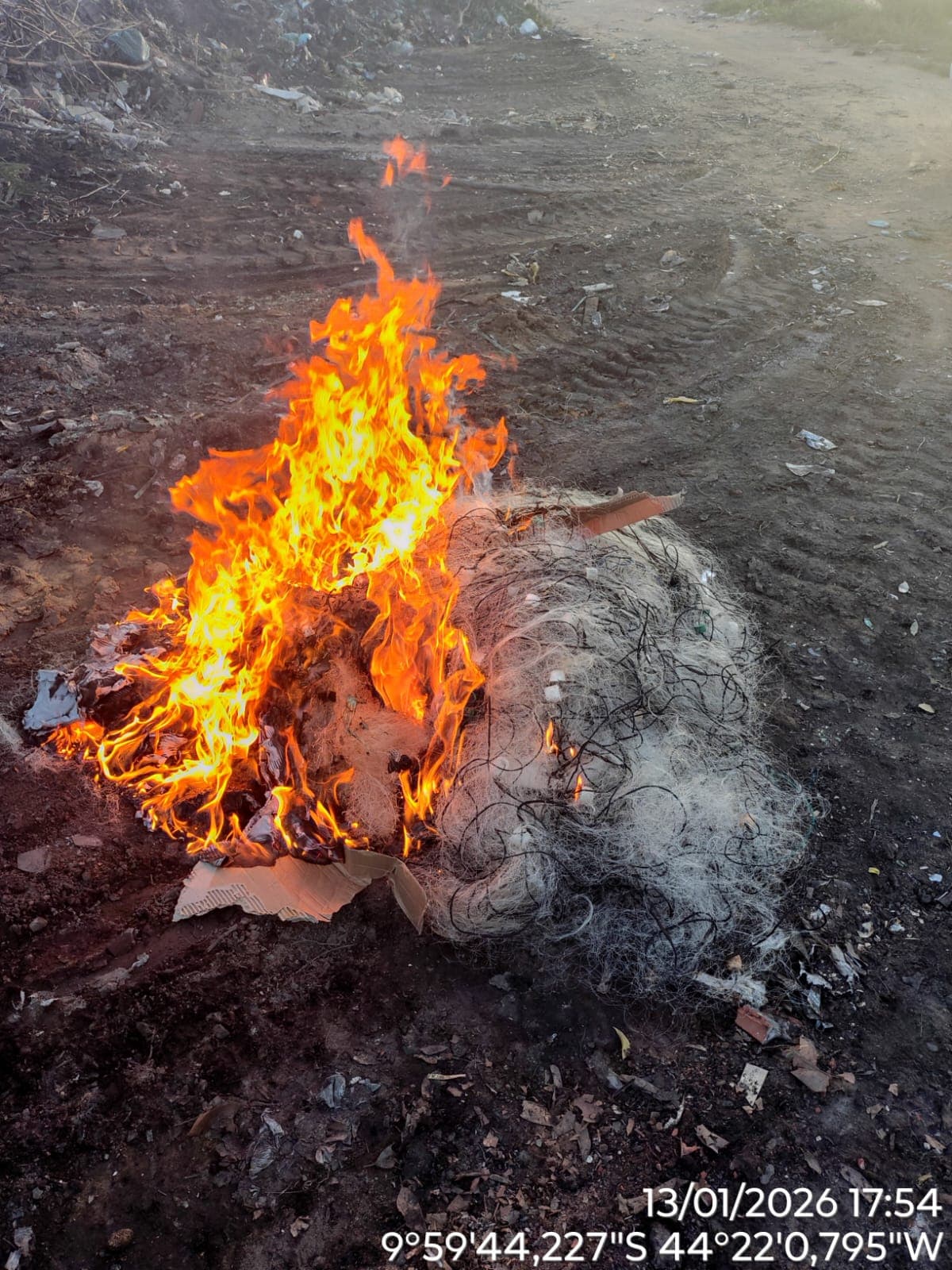 Fiscalização da Semarh flagra pescador em atividade e apreende 66 quilos de peixe durante piracema no Piauí