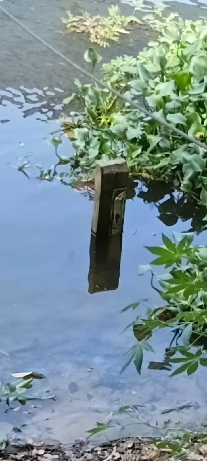 Foto — Régua